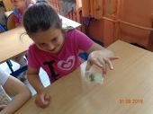 Foto - 02